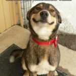 313431281_187477387133302_2161899195585871332_n